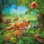 Puzzle Animalele Pamantului, 3X49 Piease Ravensburger - 3